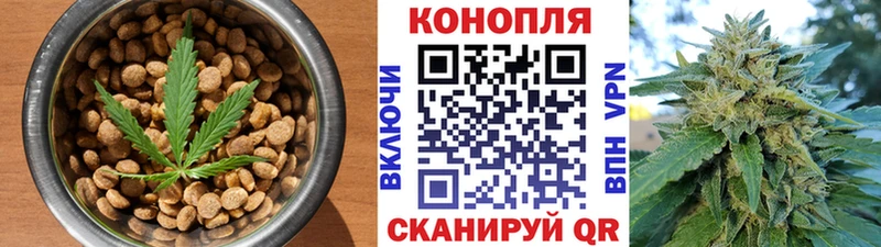 blacksprut   Реутов  это как зайти  Еда ТГК конопля 