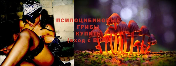 СК Осинники