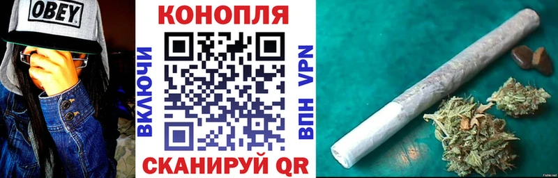 МАРИХУАНА сатива Реутов